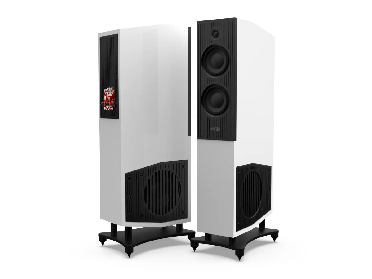 AVID EVO TWO