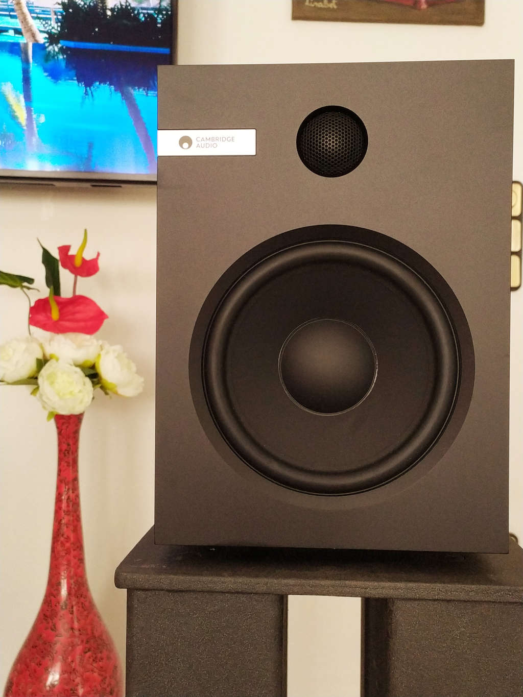 Cambridge Audio EVO S