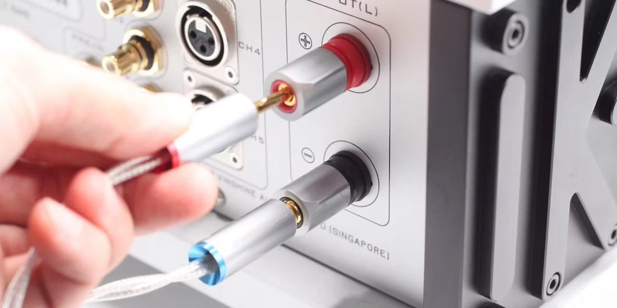 Vinshine x Kinki Studio Dazzle