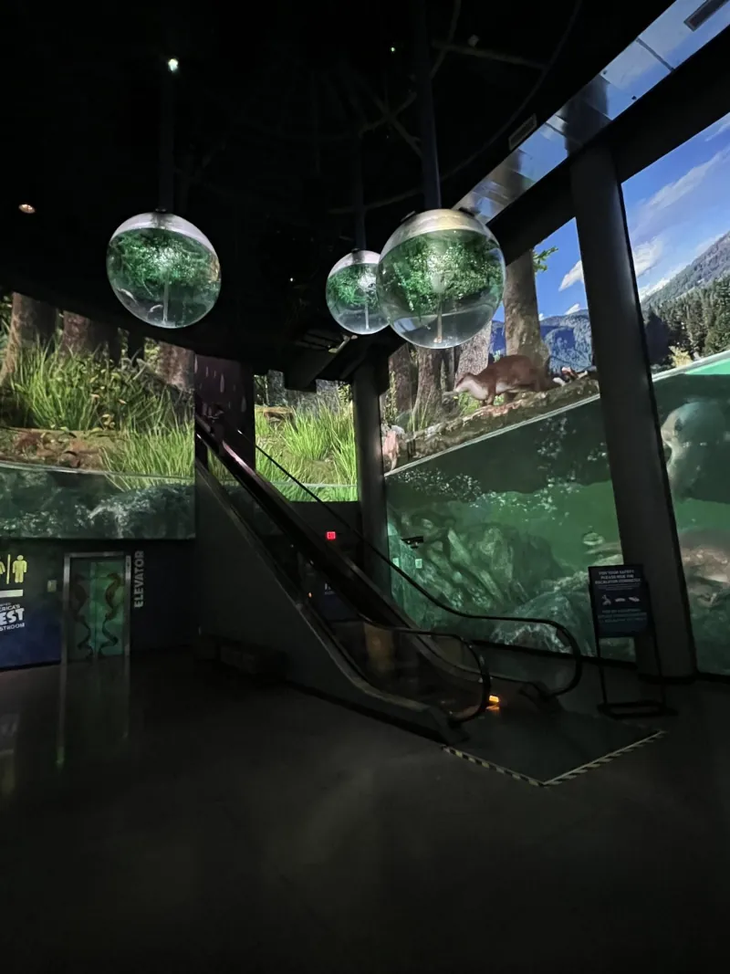 OdySea Aquarium