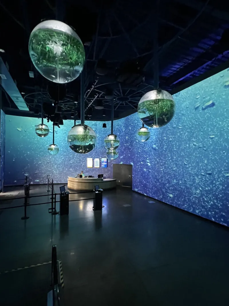 OdySea Aquarium