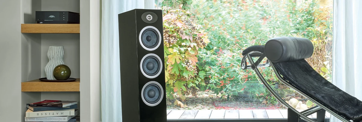 Focal Theva n2