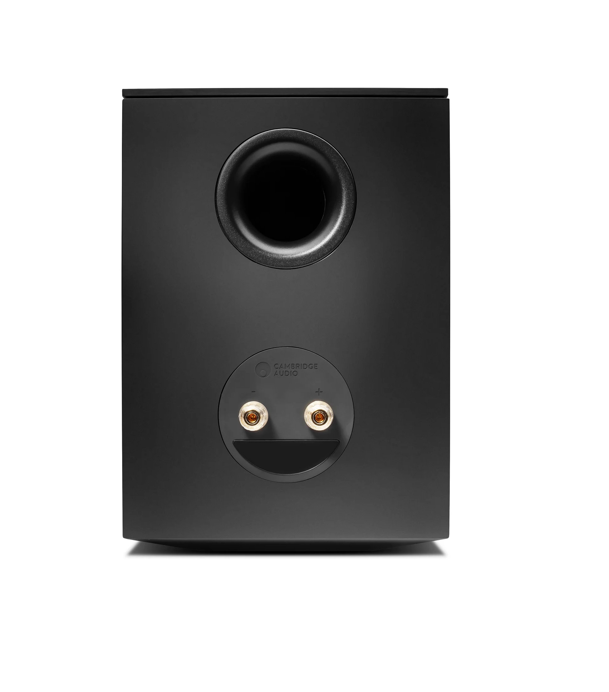 Cambridge Audio EVO S